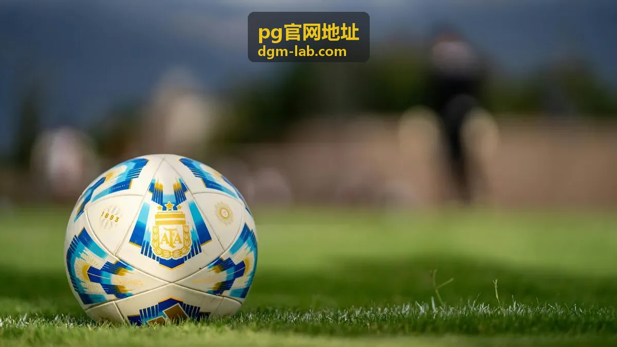pg官网地址功能页面直达入口